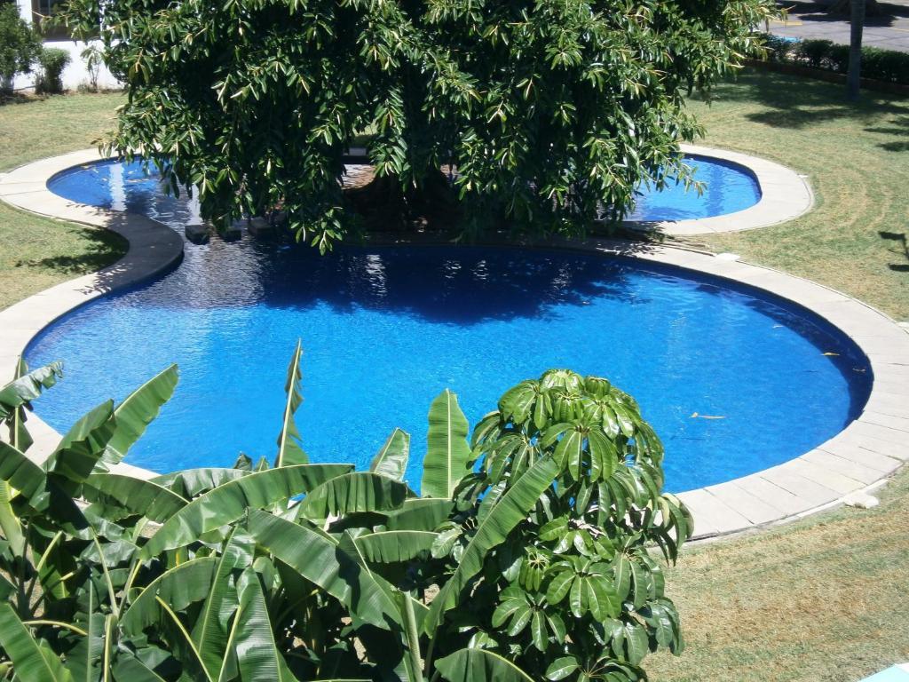 Hotel Fenix סמורה דה הידאלגו מראה חיצוני תמונה